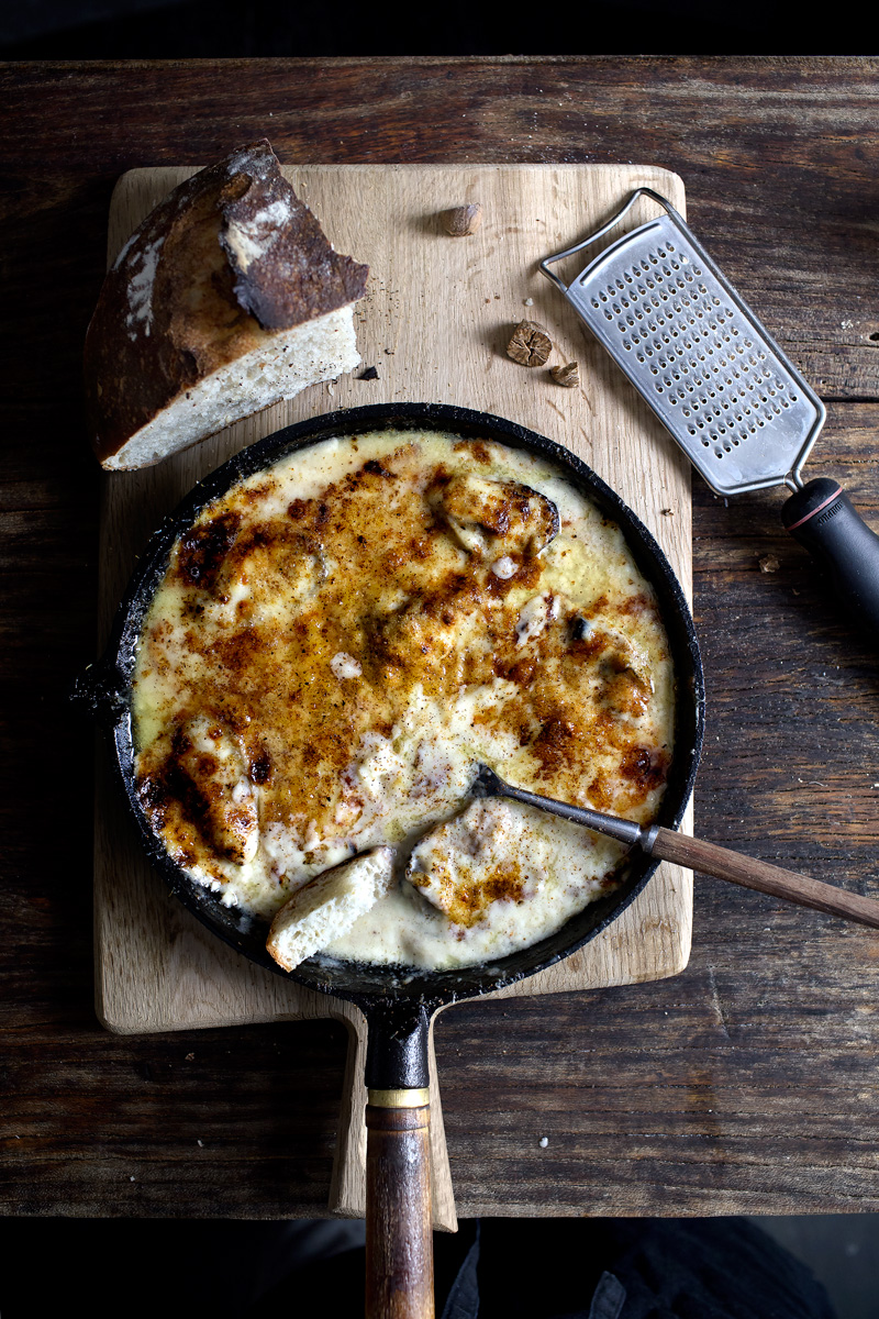 three cheese oyster gratin15