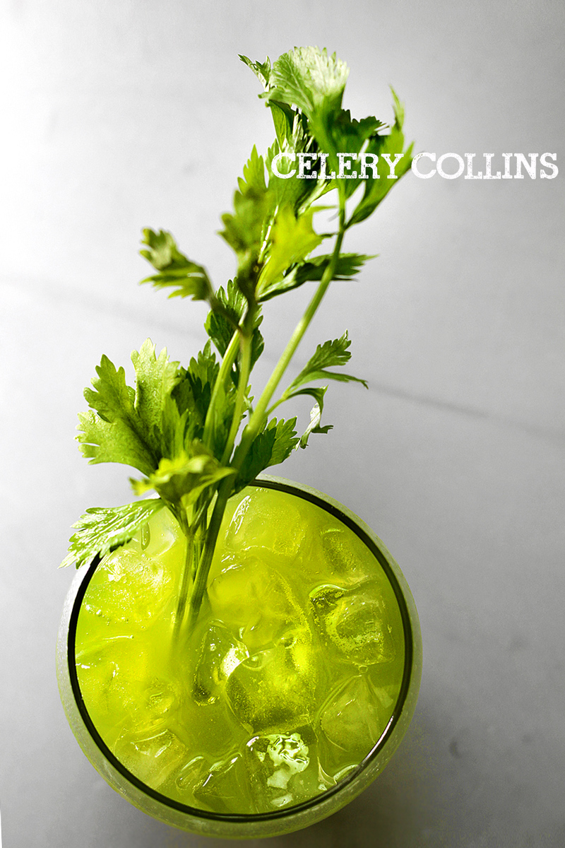 celery-collin7