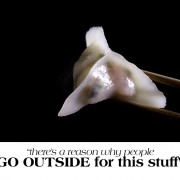 insights to your shrimp dumplings