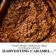 THE INCONVENIENT RAGU-TH