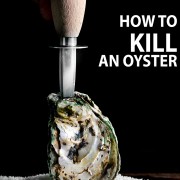 HOW TO KILL AN OYSTER