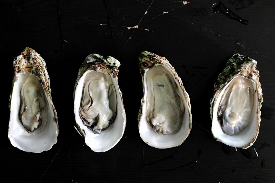HOW TO KILL AN OYSTER Lady and Pups