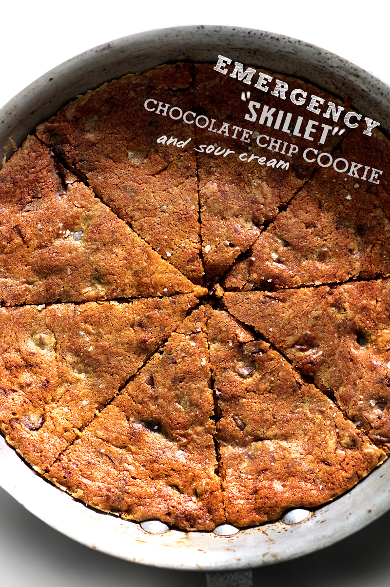 EMERGENCY SKILLET COOKIE – Lady and Pups