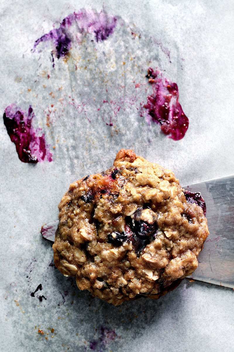oatmeal-chocolate-blueberry-cookie11