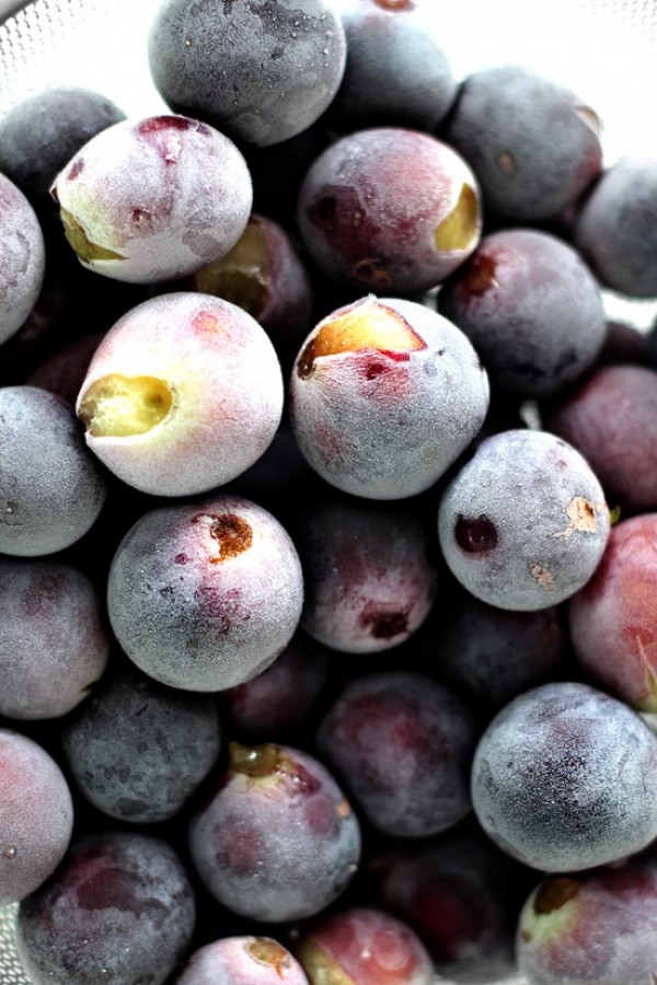FROZEN GRAPES DAIQUIRI Lady and Pups