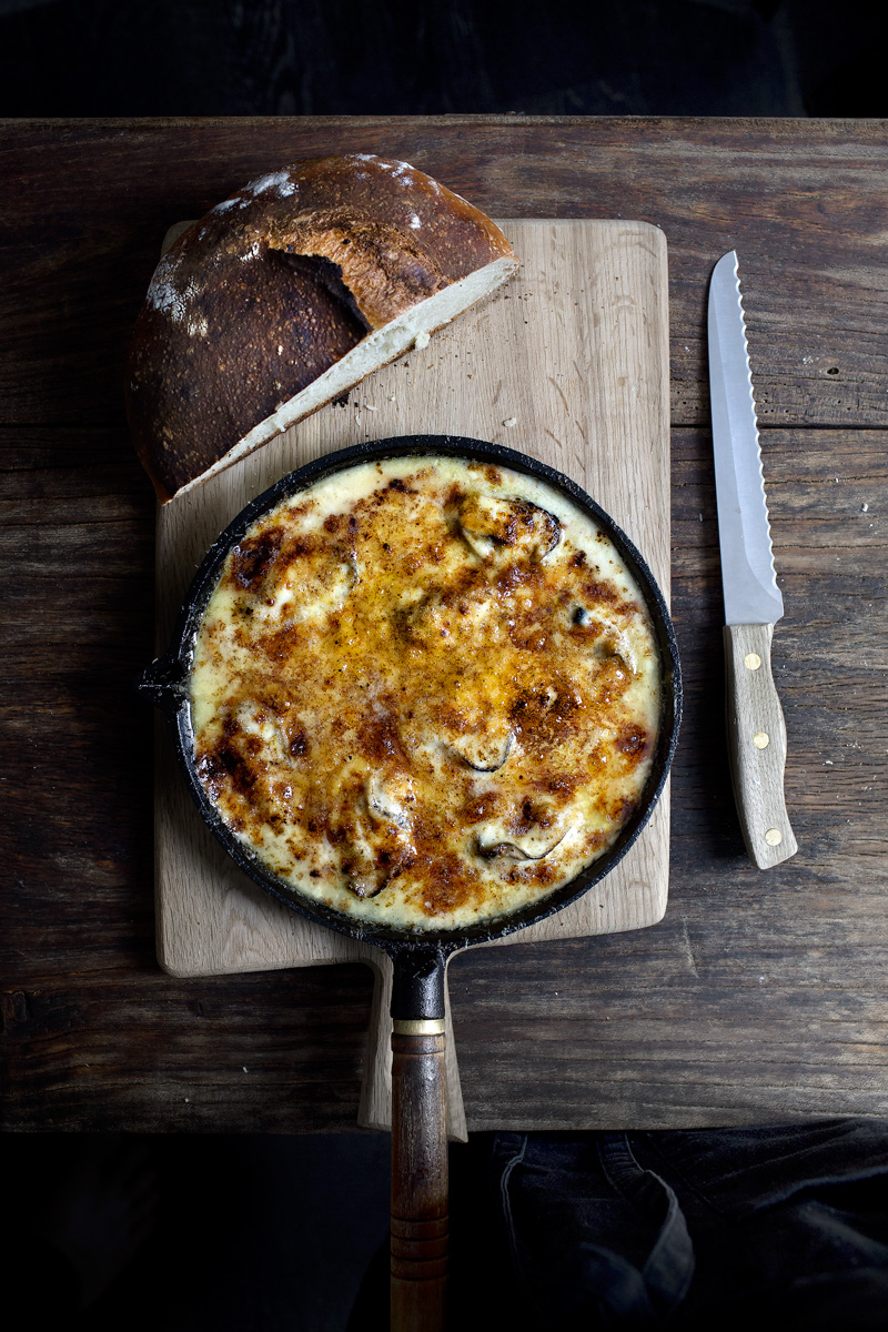 three cheese oyster gratin13