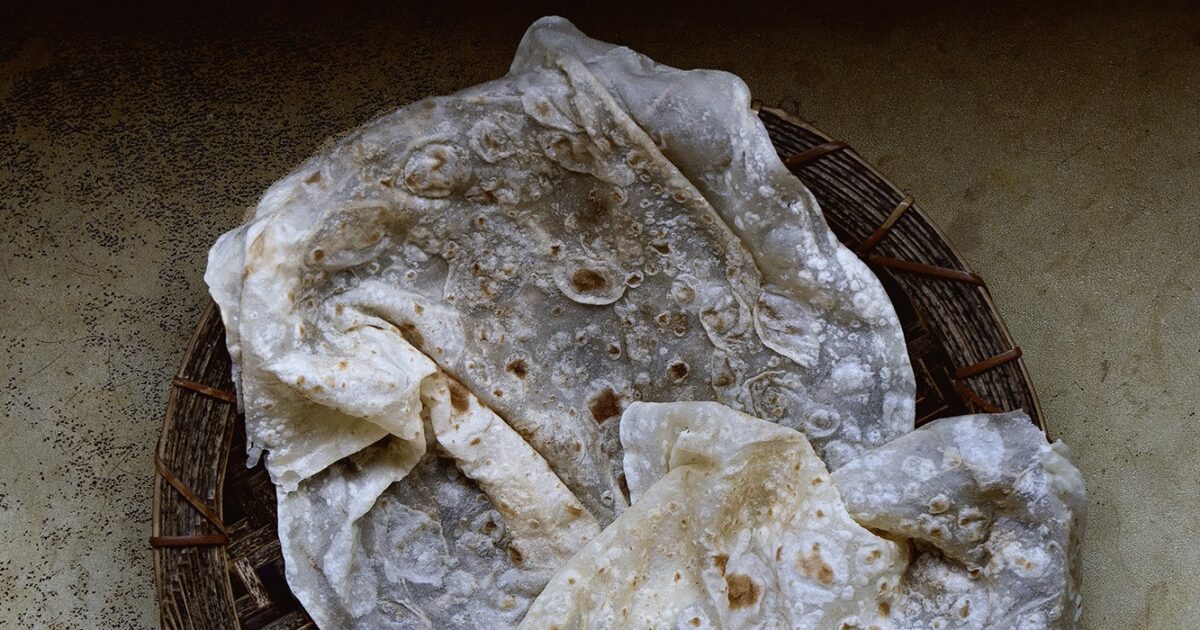 paper-thin-soft-chewy-sonoran-style-flour-tortilla-lady-and-pups